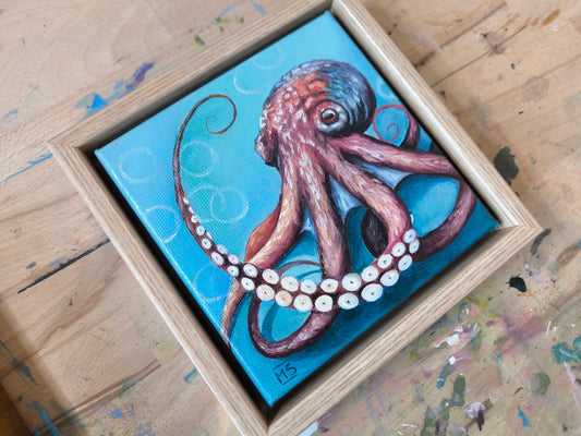 Kleiner Oktopus