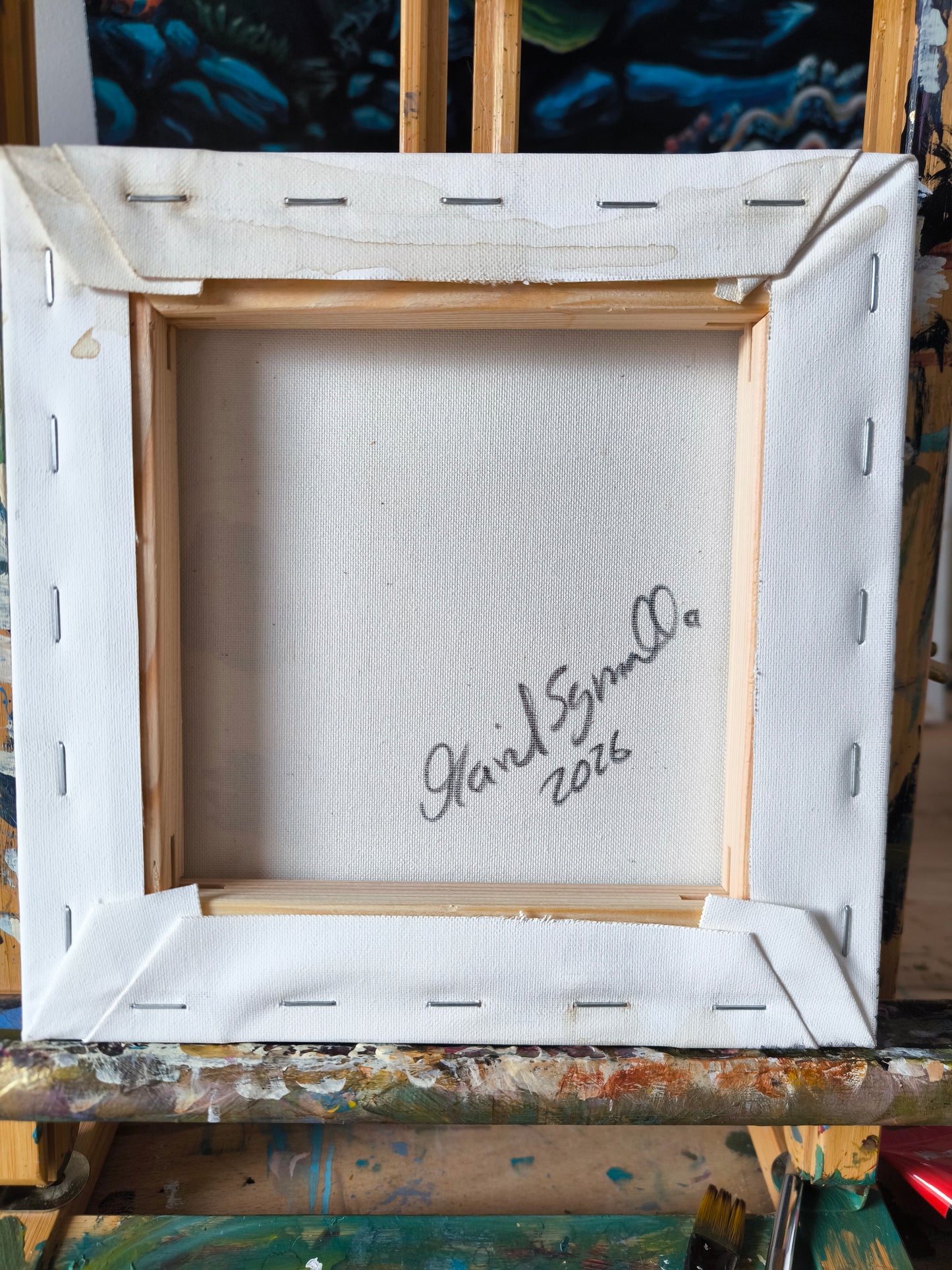 Verträumte Waschbär