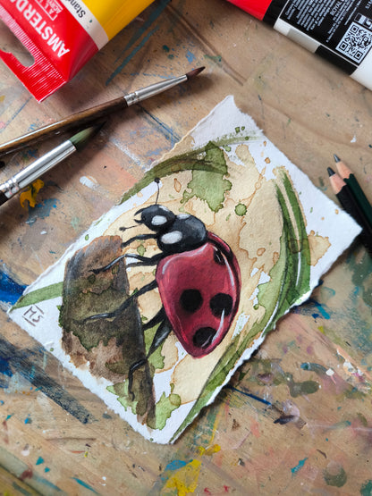 Marienkäfer am Morgen
