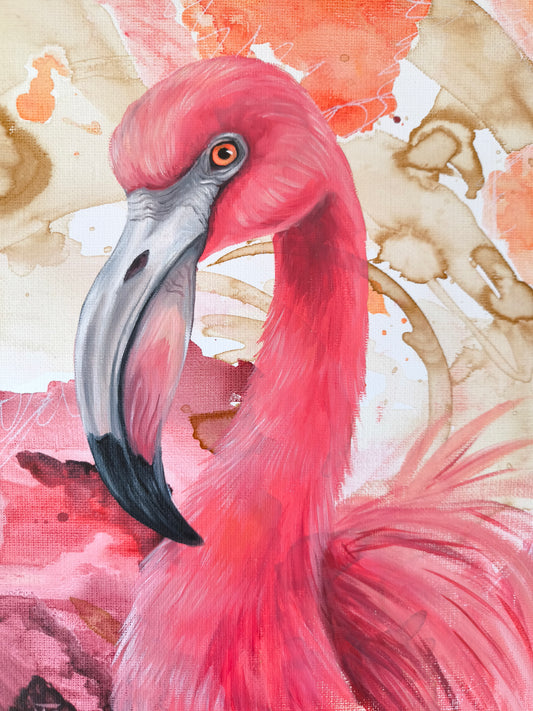 Flamingo