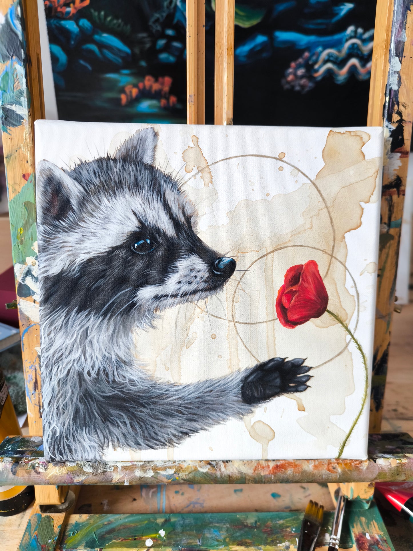 Verträumte Waschbär