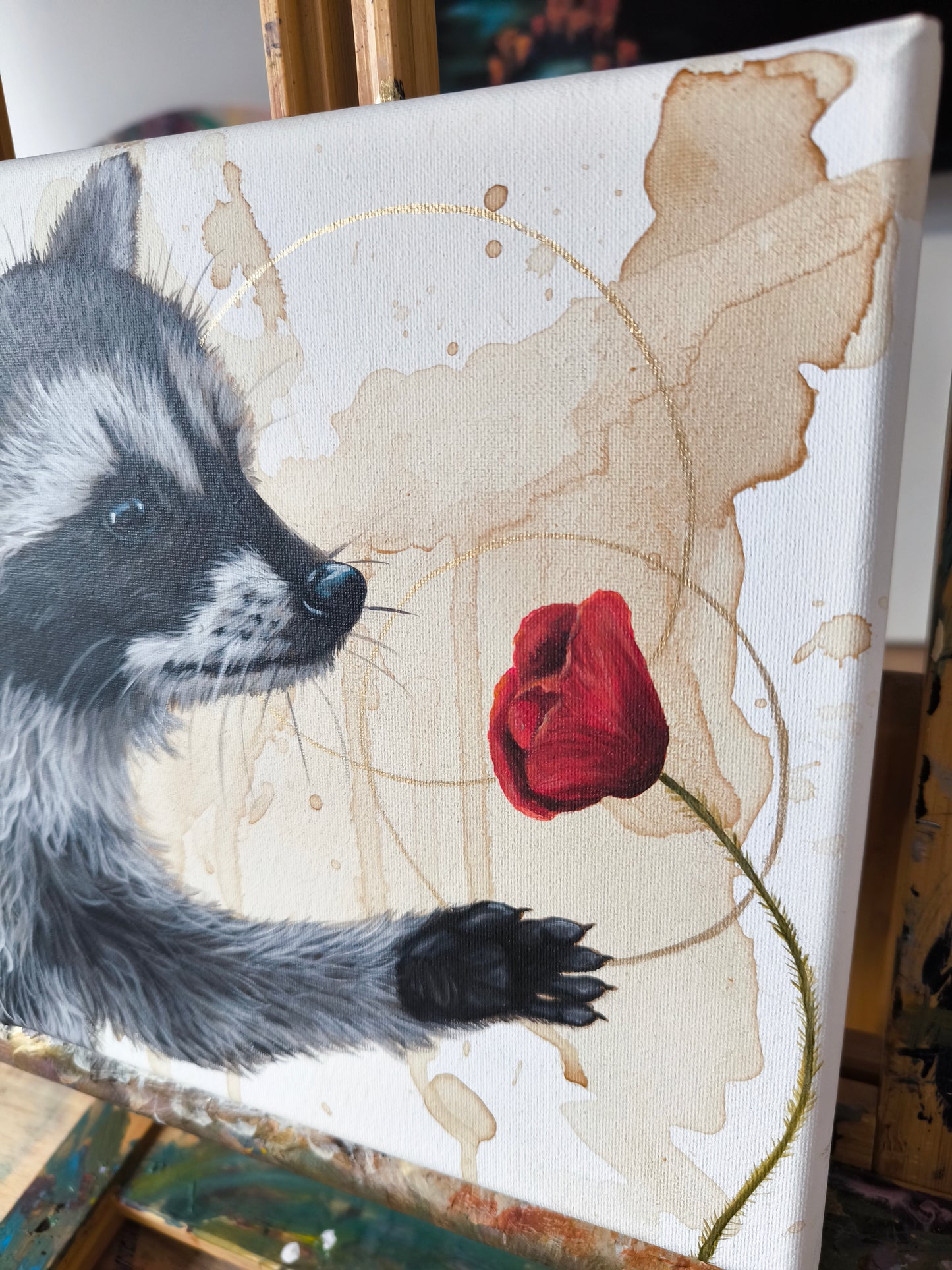 Verträumte Waschbär